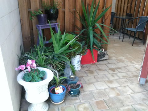 Hammersmith Corner Apartments - Tourism Brisbane 2