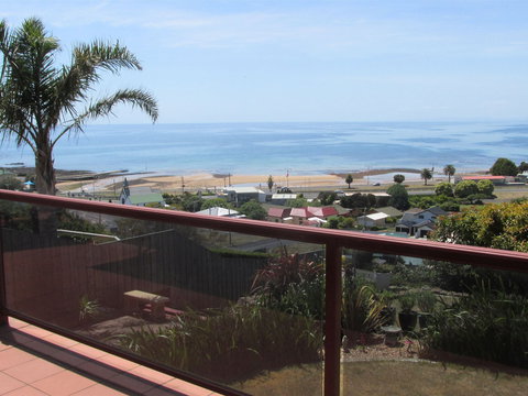 High On Penguin - Tourism Brisbane 1