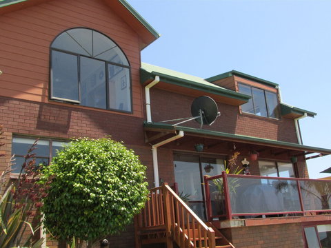 High On Penguin - Tourism Brisbane 2