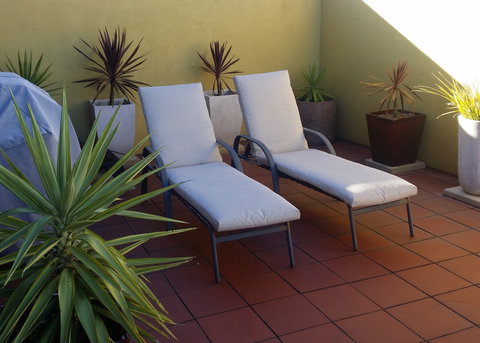 High On Penguin - Tourism Brisbane 8