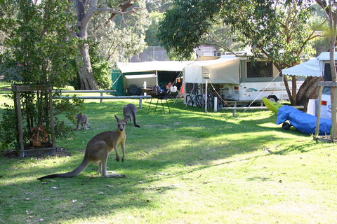 Lakesea Park - Tourism Brisbane 5