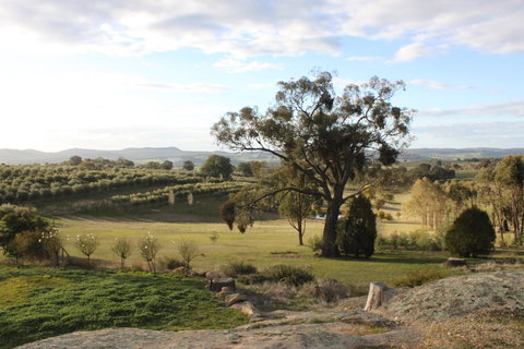 L'Oliveraie - Tourism Brisbane 3