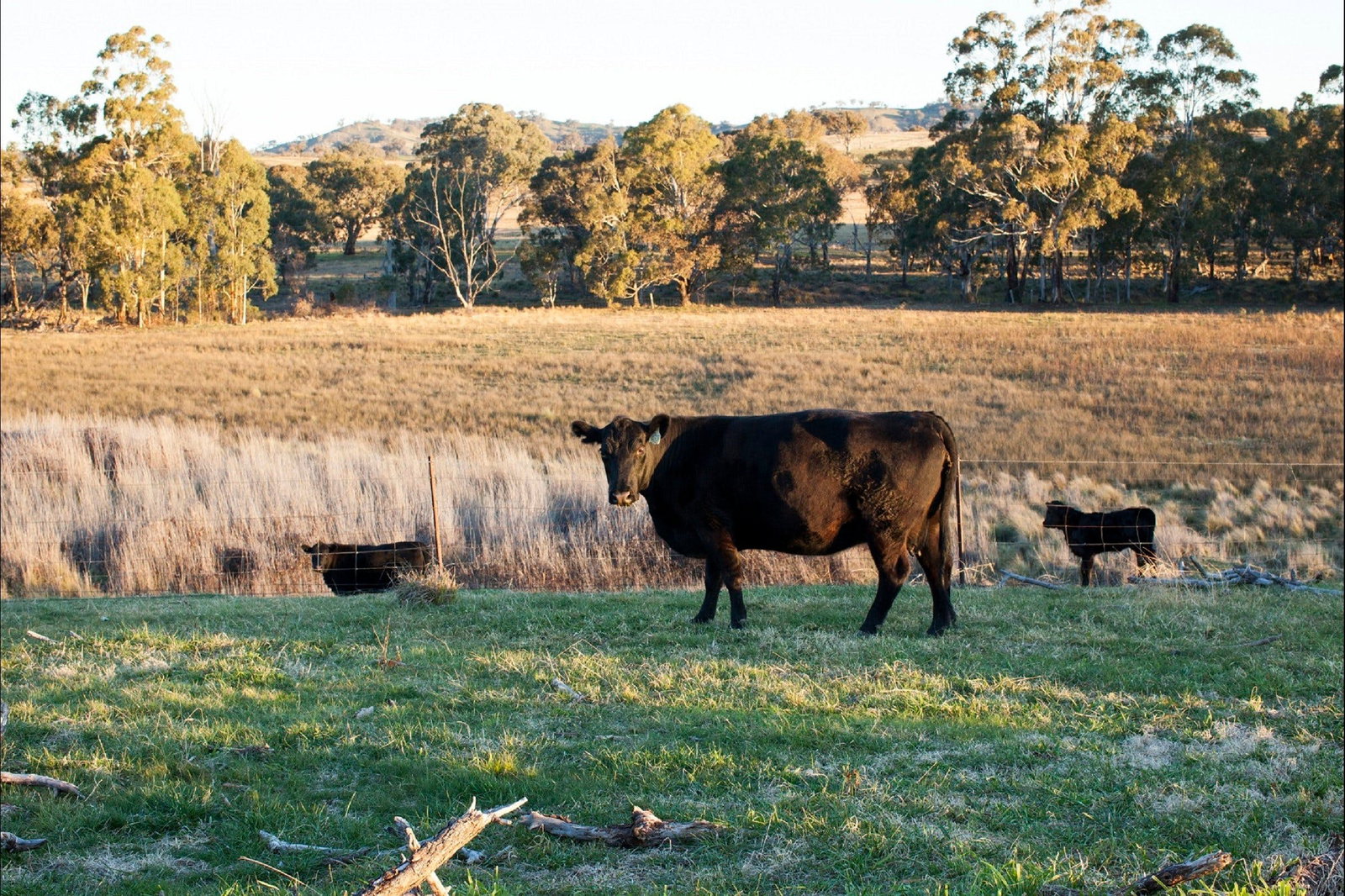 Meroo NSW Tourism Brisbane