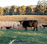 Lone Pine Homestead - Tourism Brisbane