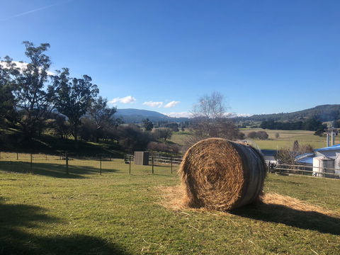 Mole Creek Hideaway - Tourism Brisbane 4