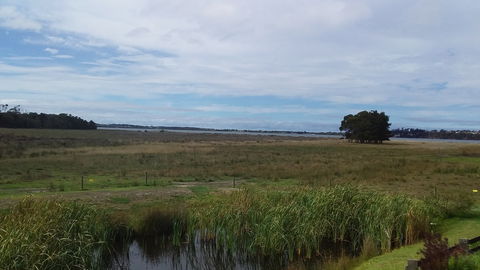Pelican Point Sanctuary - Tourism Brisbane 7