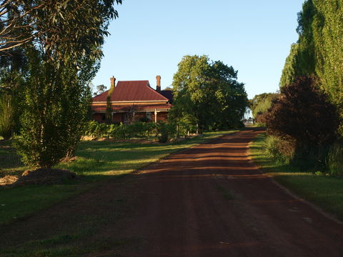Pierrepoint Wines Bed & Breakfast - Brisbane Tourism 4