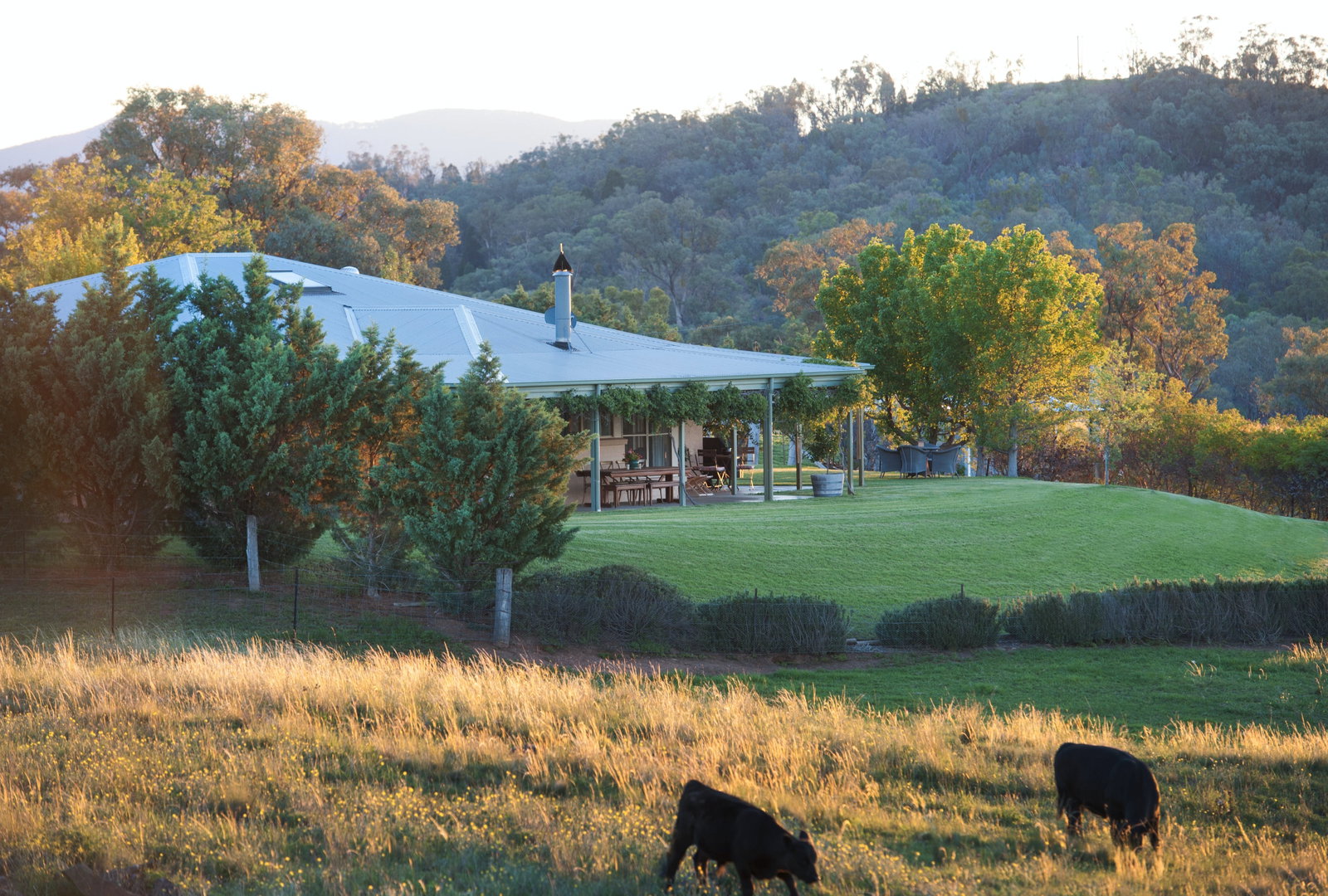 Mudgee NSW Tourism Brisbane