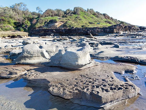 Shelley Head Campground - Tourism Brisbane 2