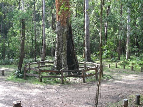 Six Mile Creek Campground - Brisbane Tourism 0