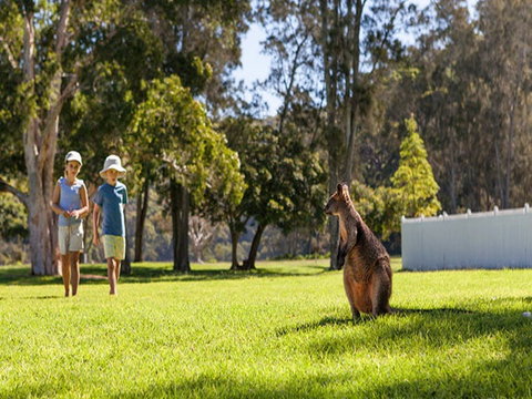 The Basin Campground - Tourism Brisbane 4