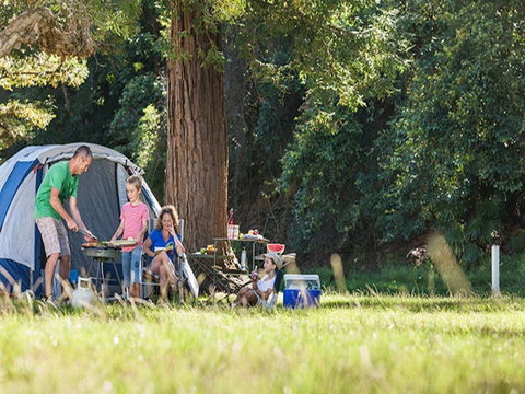 The Basin Campground - Tourism Brisbane 5