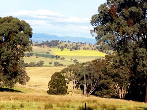 The Rockies At Orange - Tourism Brisbane 1
