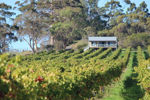 The Sleeping Lady Private Retreat - Tourism Brisbane 1