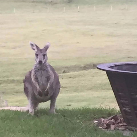 Valle Laguna - Tourism Brisbane 4