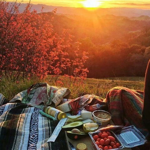 Valle Laguna - Tourism Brisbane 5