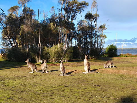 Waterfront Retreat At Wattle Point - Tourism Brisbane 2