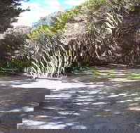 3 Mile Bend Campground - Beachport Conservation Park