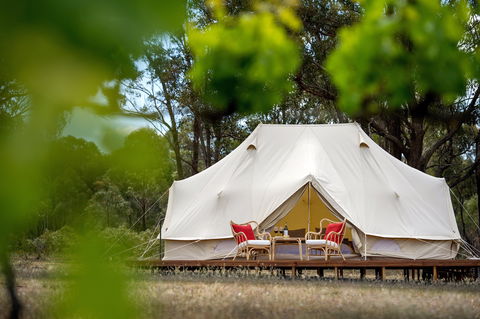 Balgownie Estate Winery Glamping & Accommodation - Brisbane 4u 0