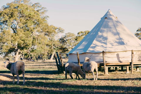 Bellwether Wines - Brisbane 4u 2