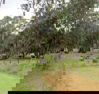 Ben Halls campground