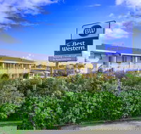 Best Western Albany Motel  Apartments - Brisbane Tourism