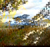 Buttongrass Retreat - Tourism Brisbane