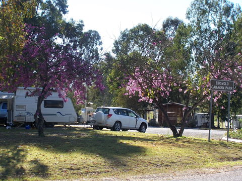 Eidsvold Caravan Park - Tourism Brisbane 0