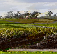 Estate Tuscany - Tourism Brisbane