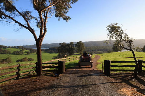 Harvey Hills Farm Stay Chalets - Tourism Brisbane 1