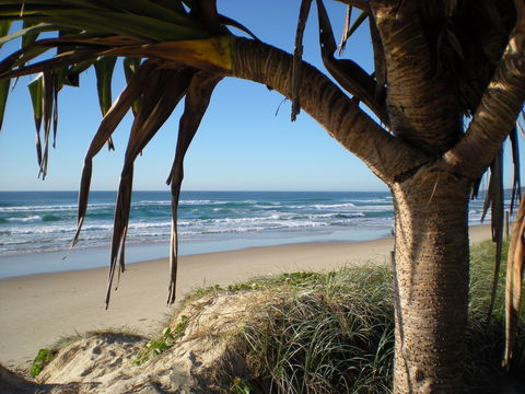 Horizons At Peregian - Tourism Brisbane 0