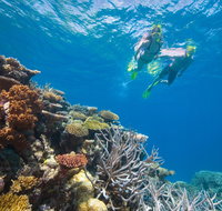 NRMA Cairns Holiday Park - Tourism Brisbane
