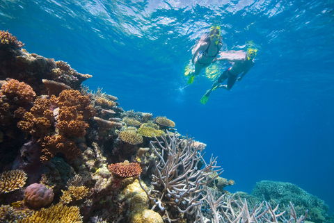 NRMA Cairns Holiday Park - Brisbane 4u 0