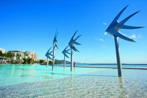 NRMA Cairns Holiday Park - Brisbane 4u 1