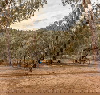 Pinch River campground - Tourism Brisbane