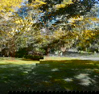 Scenic Rim Adventure Park - Tourism Brisbane