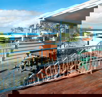 Seahorse - Brisbane Tourism