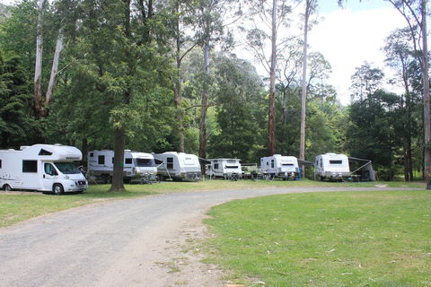 Tarra Valley Caravan Park - Brisbane 4u 2