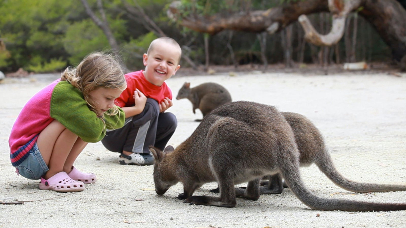Memana TAS Tourism Brisbane