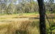 Tin Mines Campground - thumb 1