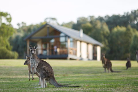 Yering Gorge Cottages - Brisbane 4u 0