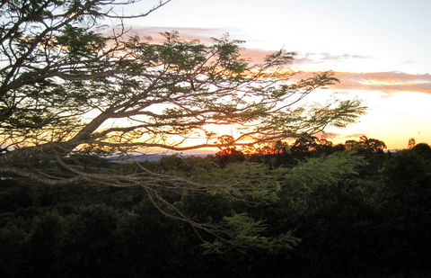 Annie's Place Bed And Breakfast - Brisbane 4u 0