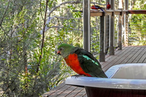 Araluen Park Cottages - Brisbane 4u 2