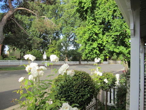 Arendon Cottage - Brisbane 4u 1
