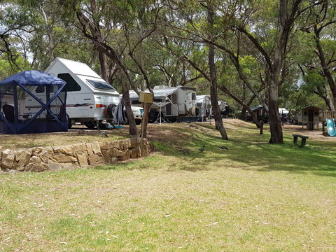 Belair National Park Holiday Park - Brisbane 4u 1
