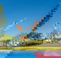 BIG4 Ballarat Goldfields Holiday Park - Brisbane Tourism
