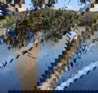 Bumberry Dam - Brisbane Tourism