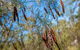Finchley Campground - thumb 1