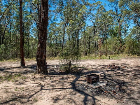 Finchley Campground - Brisbane Tourism 2
