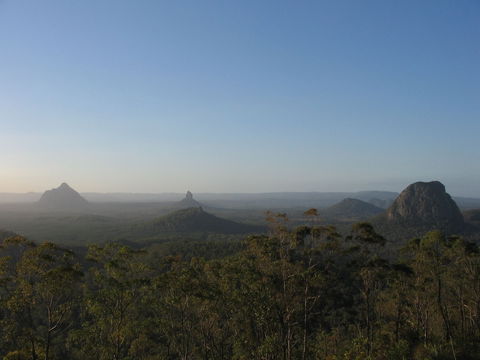 Glass On Glasshouse - Tourism Brisbane 1